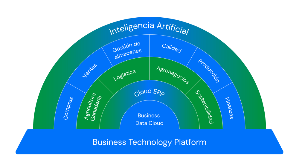 Pagina web bit - Elementos graficos-2 copia 3